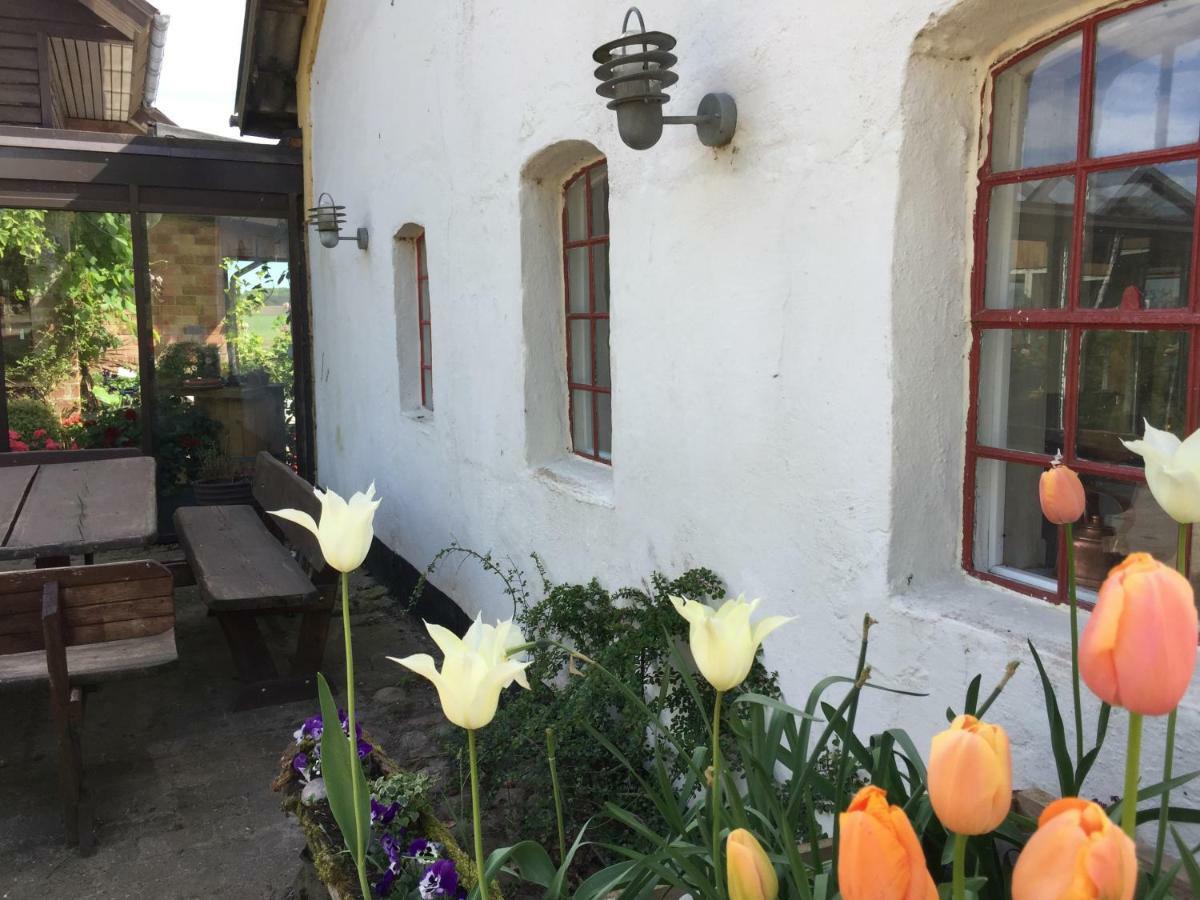 Ferienwohnung Anesminde Give Exterior foto